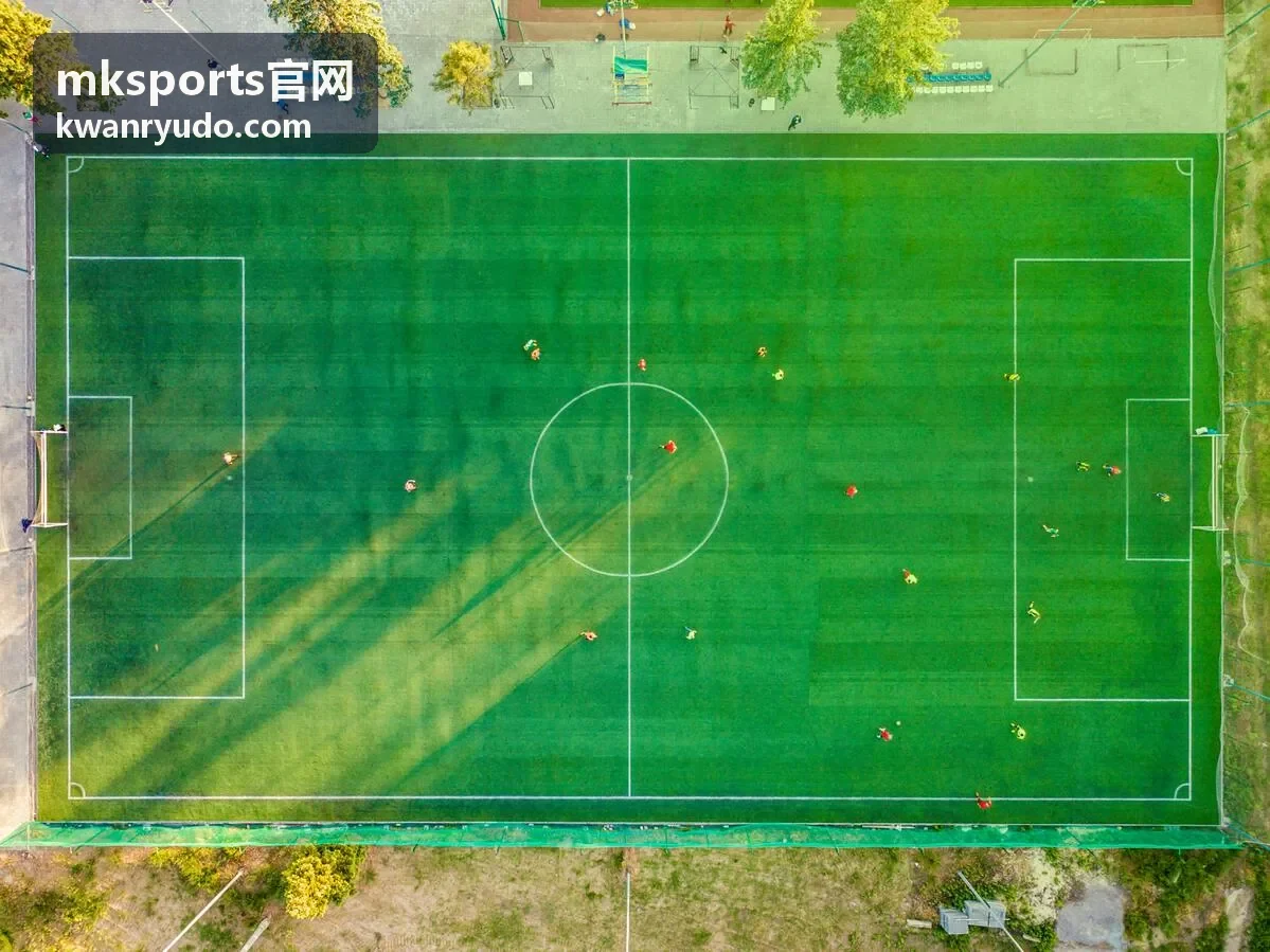 mksports官网 数据面板界面截图