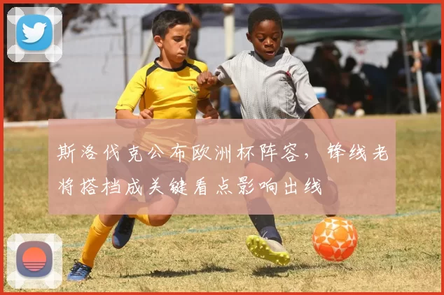 斯洛伐克公布欧洲杯阵容，锋线老将搭档成关键看点影响出线