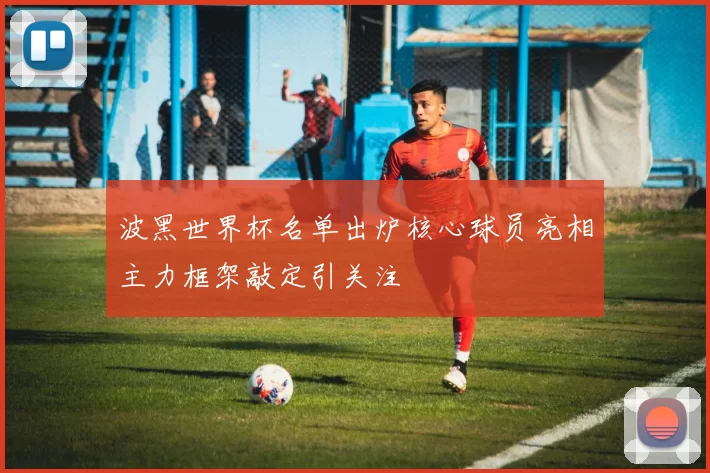 波黑世界杯名单出炉核心球员亮相主力框架敲定引关注