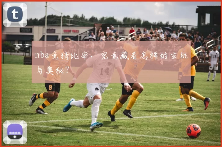 nba竞猜比率,究竟藏着怎样的玄机与奥秘?
