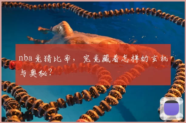 nba竞猜比率,究竟藏着怎样的玄机与奥秘?